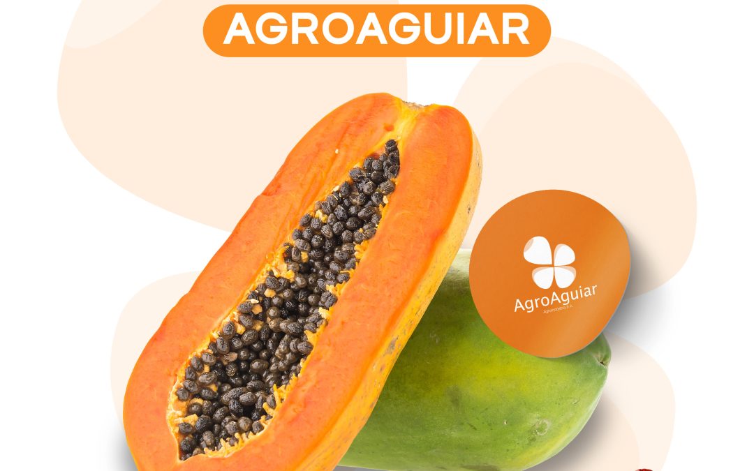 Por qué elegir la papaya de AgroAguiar