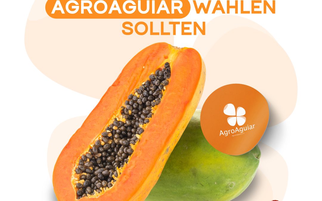 Warum Sie die Papaya von AgroAguiar wählen sollten