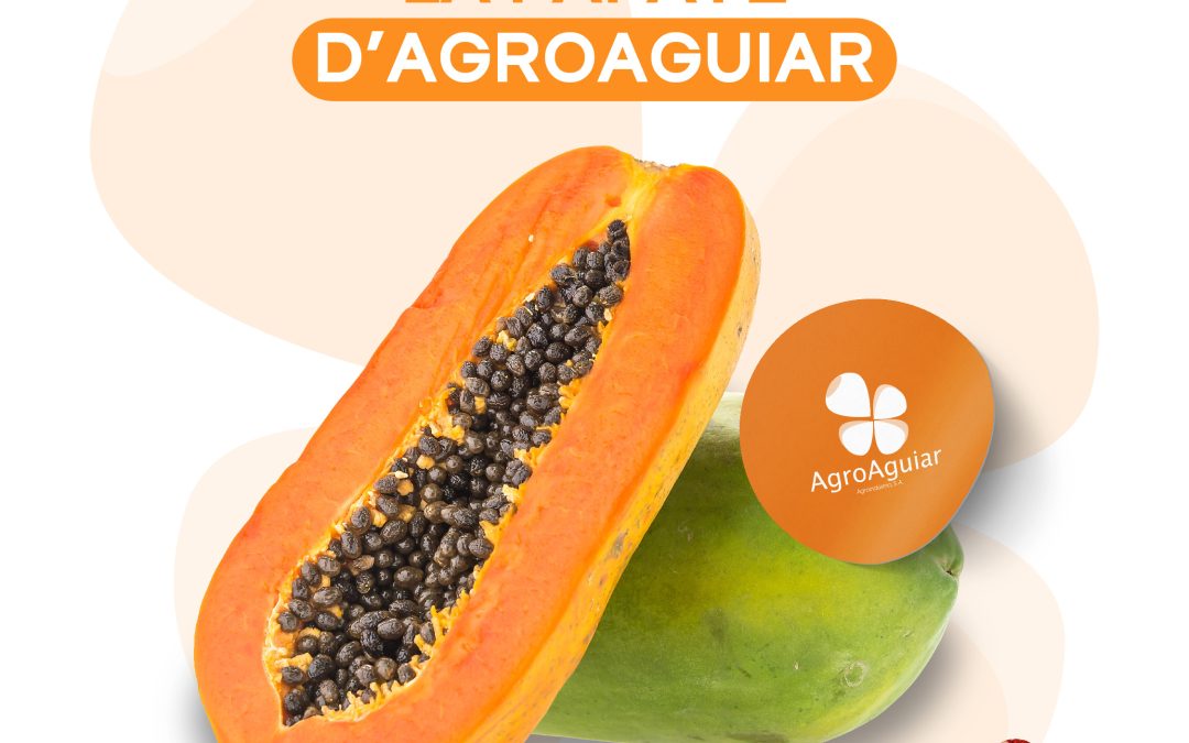 Pourquoi choisir la papaye d’AgroAguiar