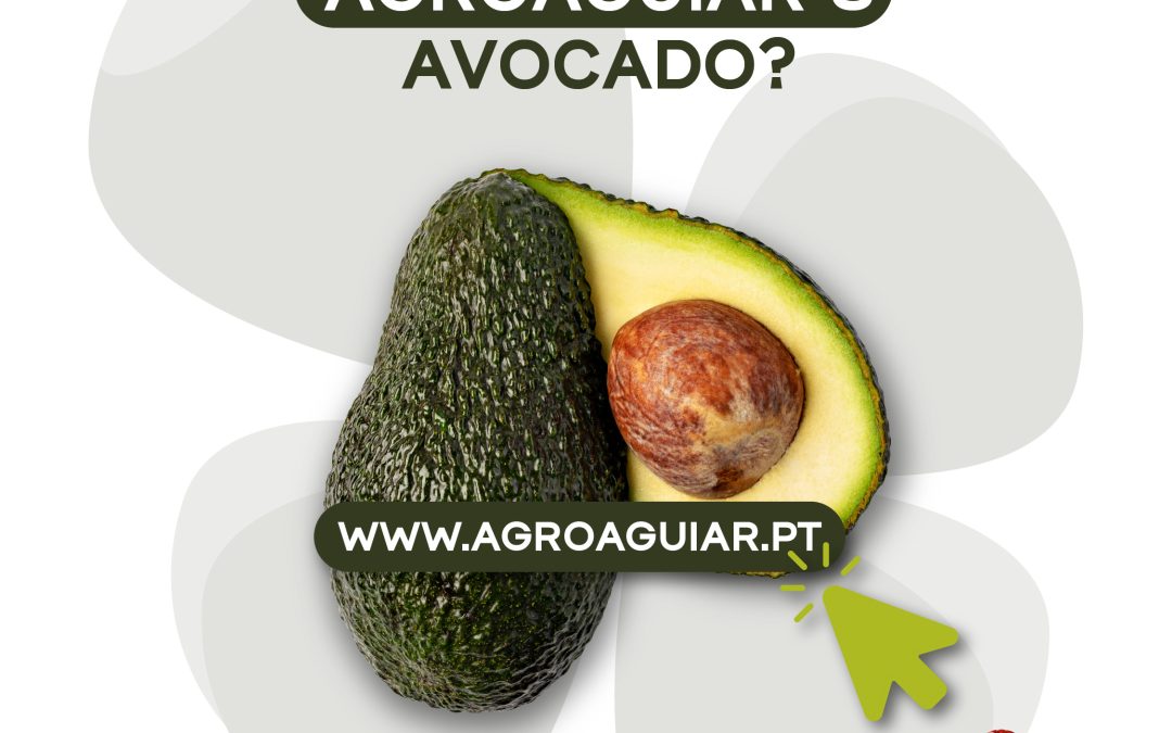 Where can you find AgroAguiar’s avocado?