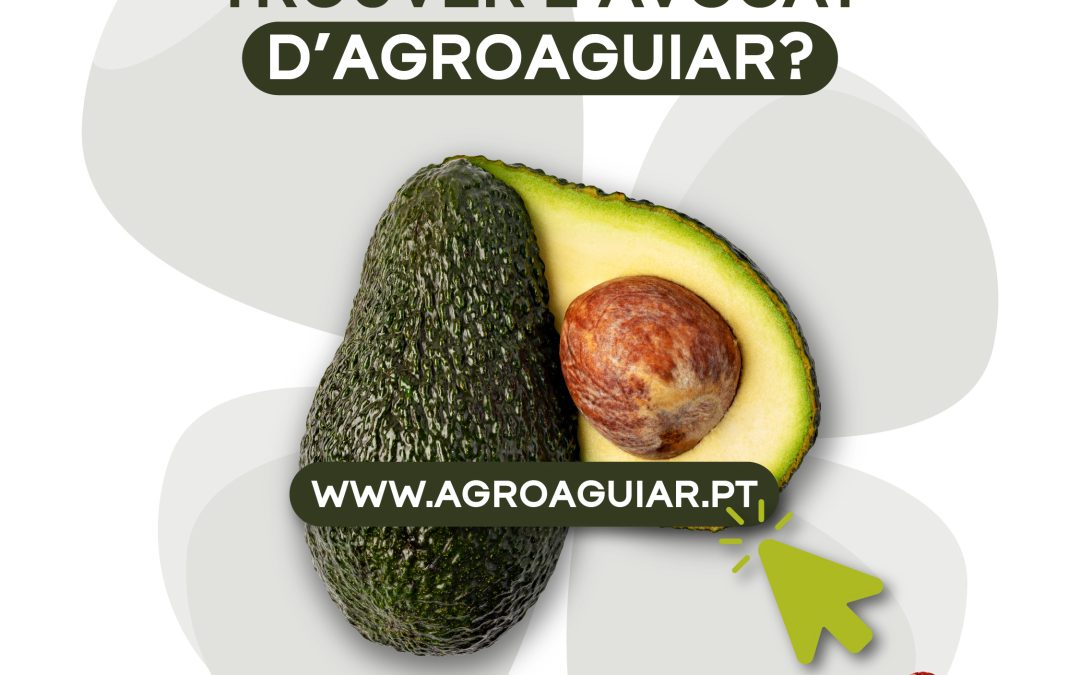 Où peut-on trouver l’avocat d’AgroAguiar?
