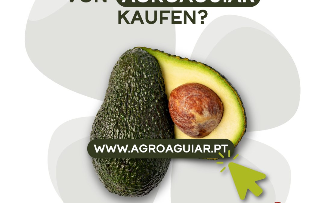 Wo kann man die Avocado von AgroAguiar kaufen?