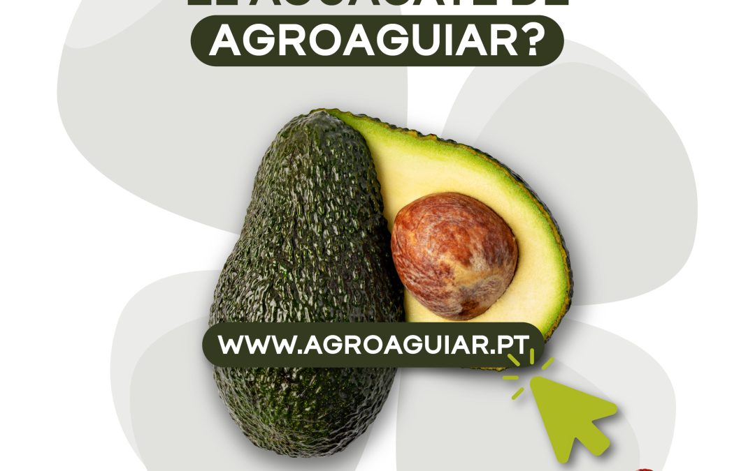¿Dónde puede encontrar el aguacate de AgroAguiar?