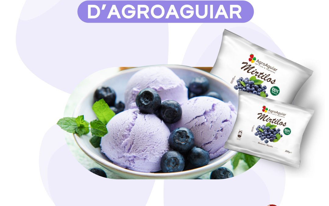 Glace à la myrtille